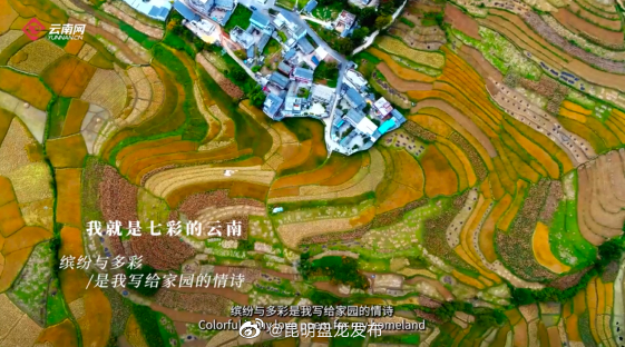 昆明盘龙发布