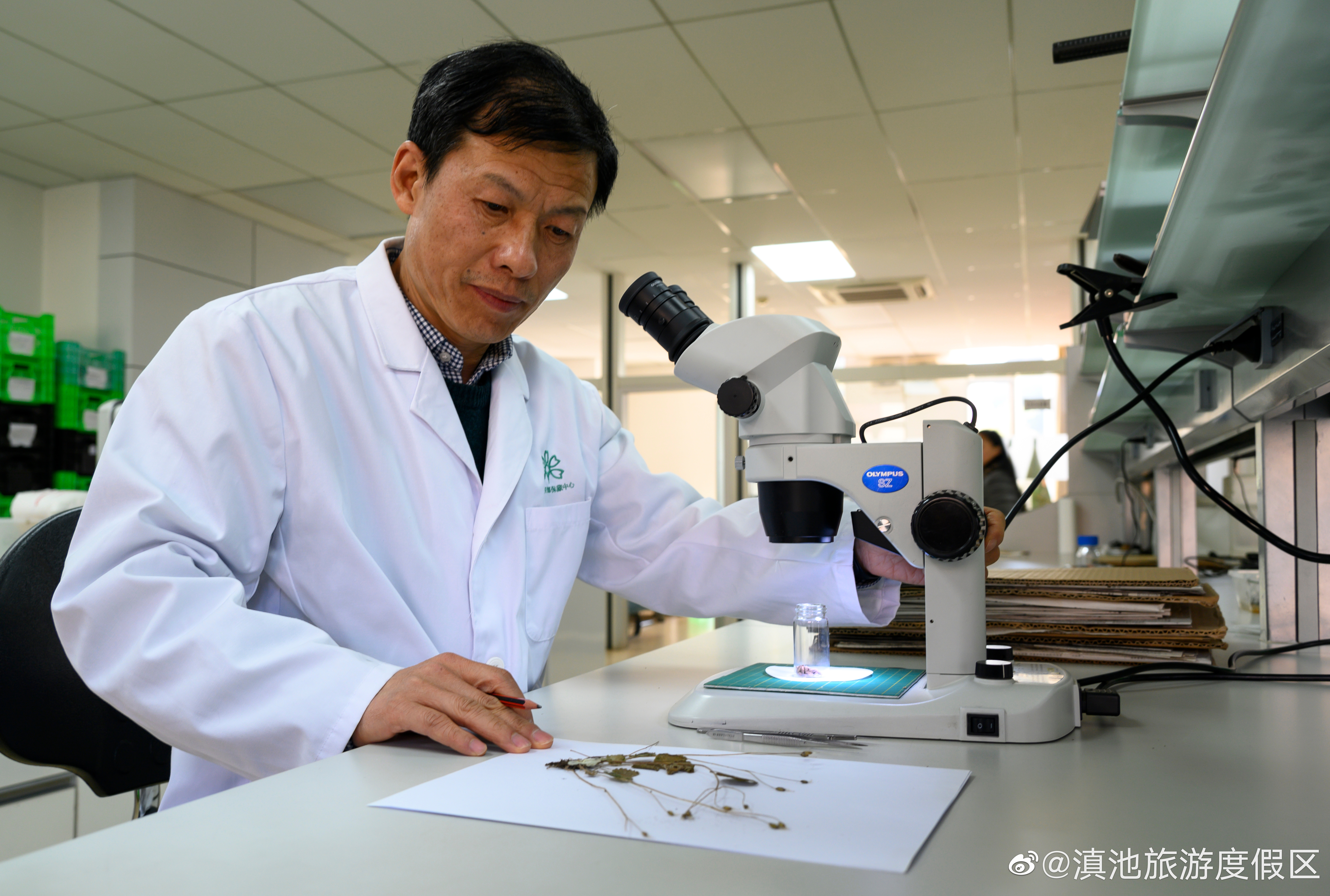 研究竹子近40年 来自江西的李德铢深深扎根“植物王国”