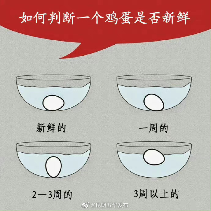 一碗水判断买到的鸡蛋是否新鲜