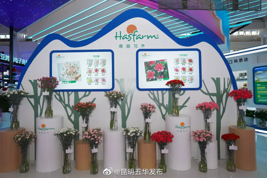 “昆明五华发布”微博