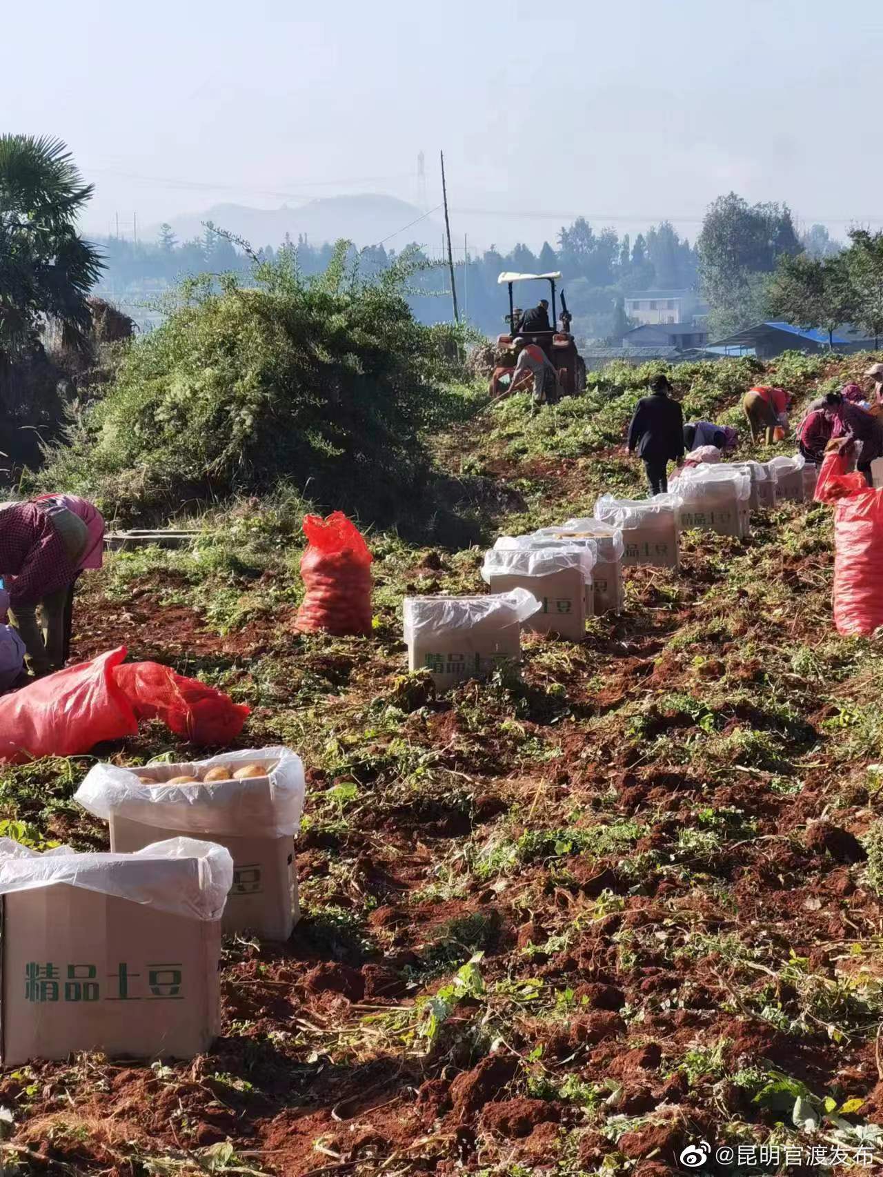 “昆明官渡发布”微博