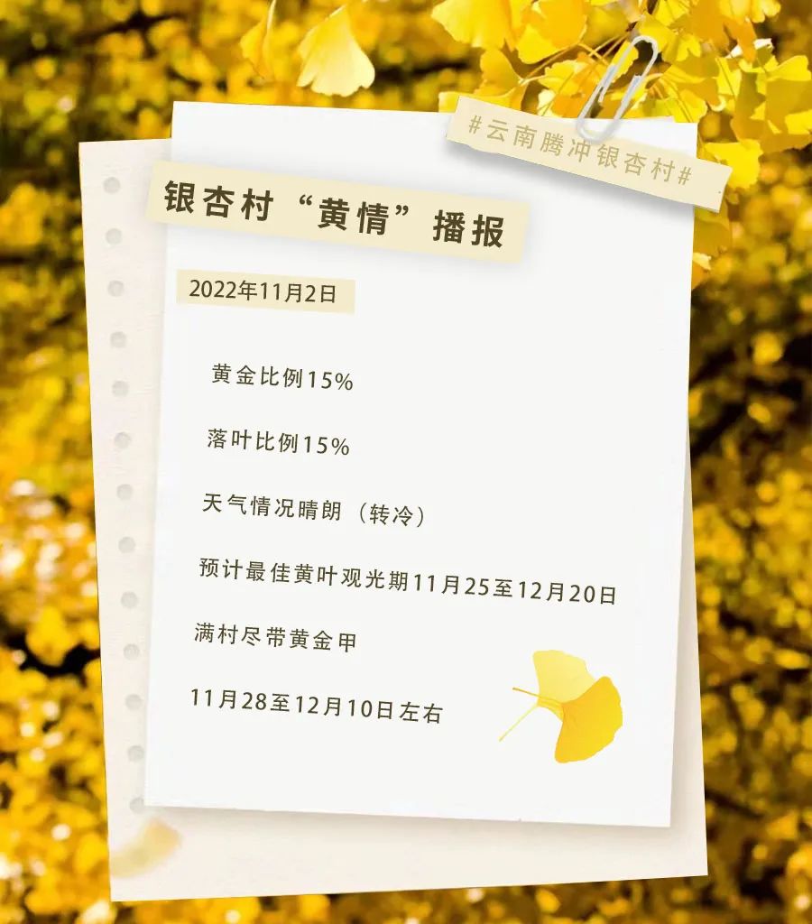 保山新闻网