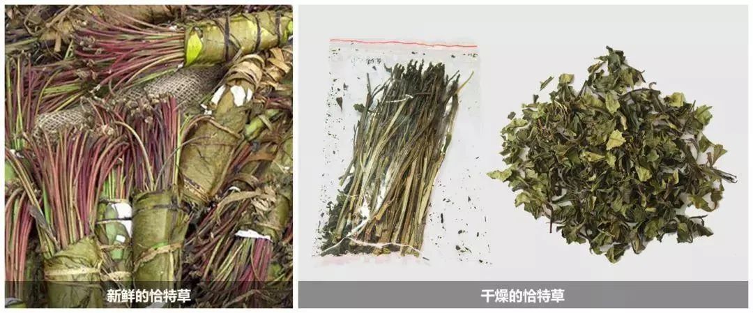 石林融媒