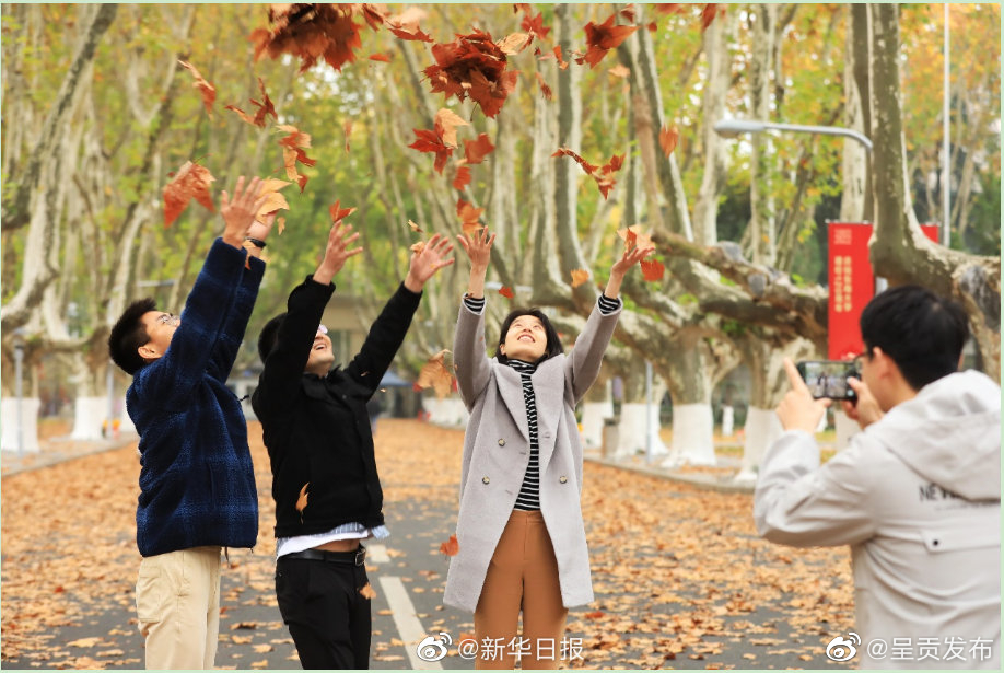 呈贡发布