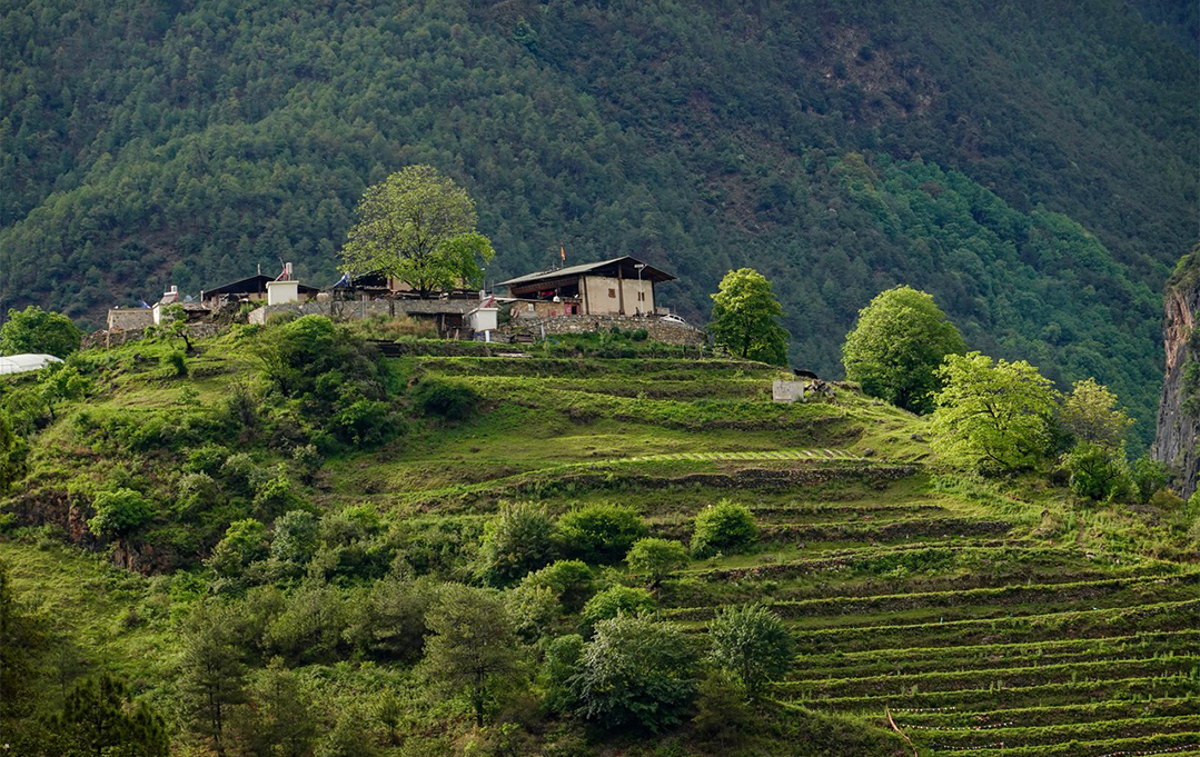 一部手机游云南