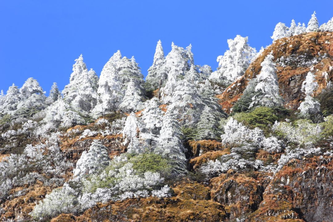 昆明轿子山旅游