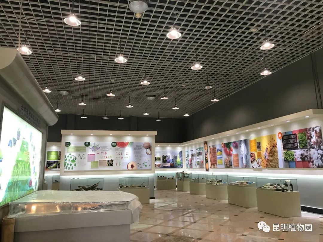 关于昆明植物园植物科普馆暂时闭馆的通知