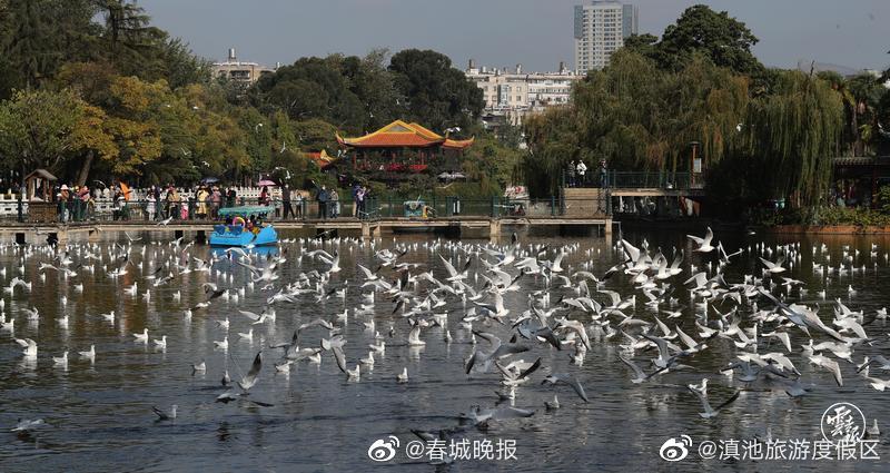 滇池旅游度假区
