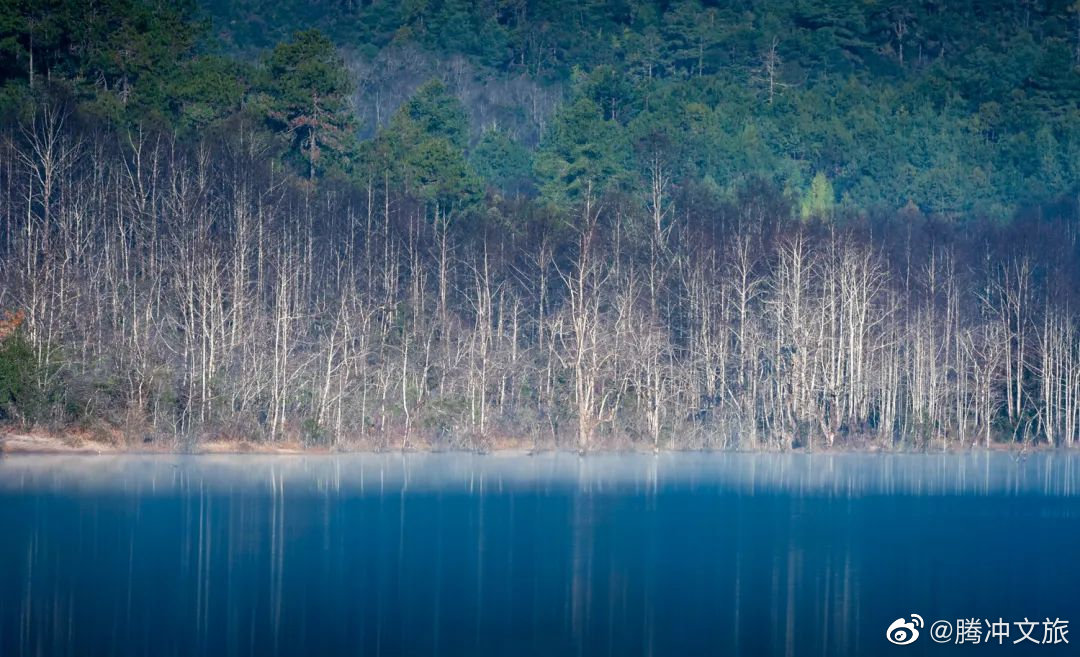 腾冲文旅微博