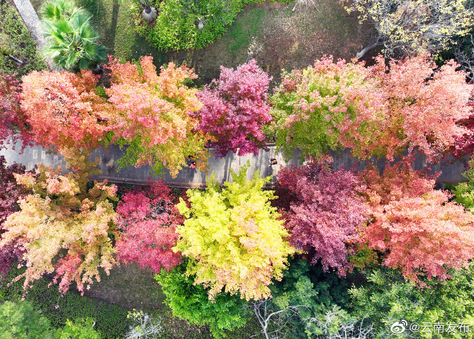 “云南发布”微博