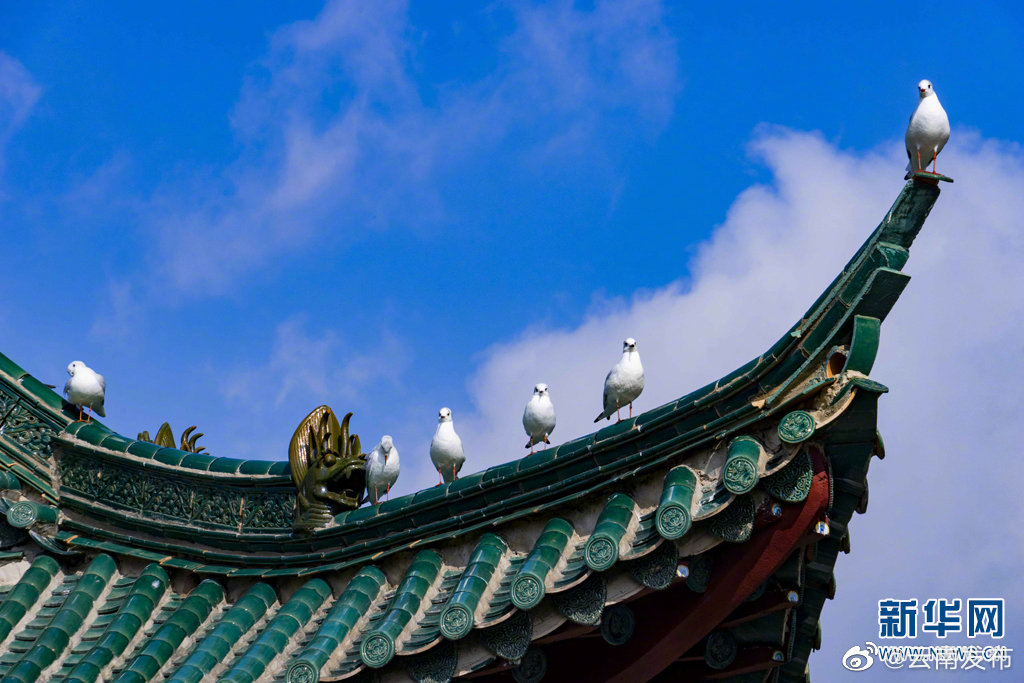 “云南发布”微博