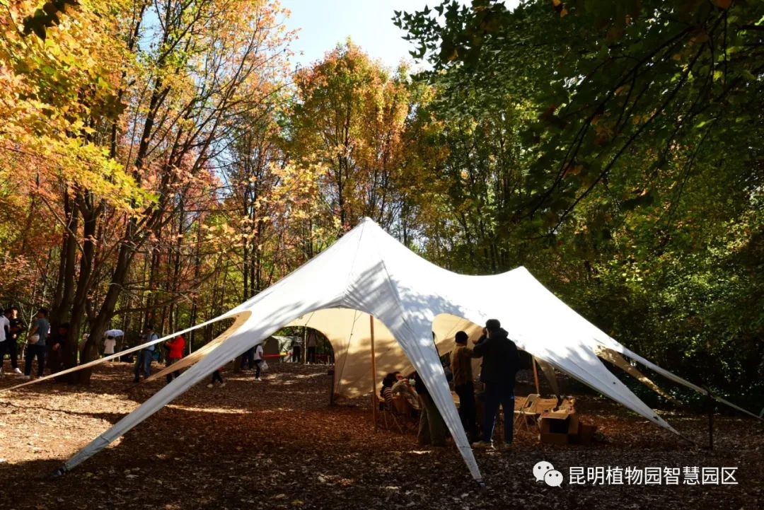 昆明植物园