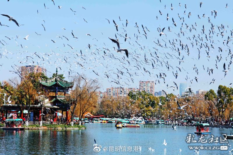 昆明信息港