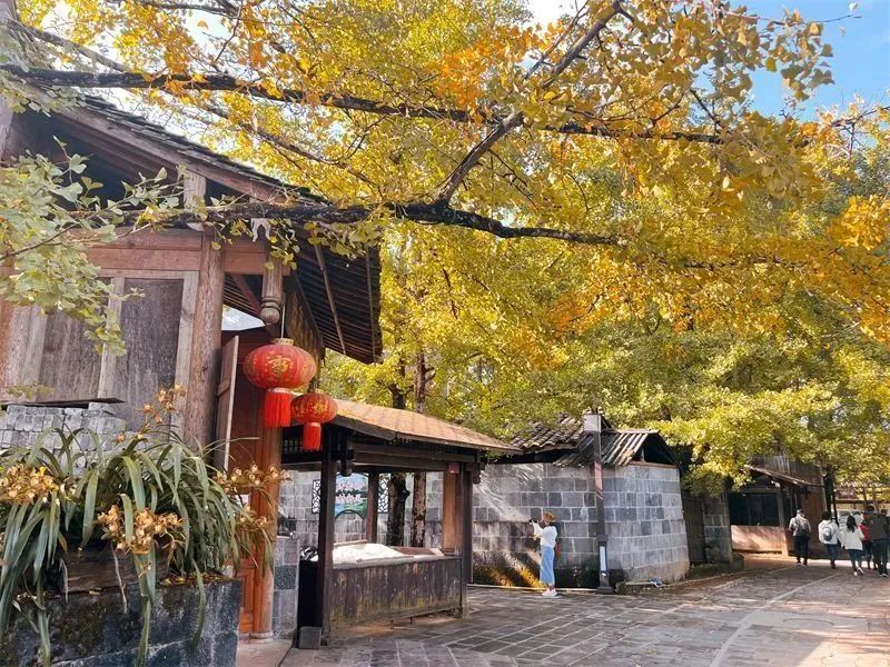 保山新闻网