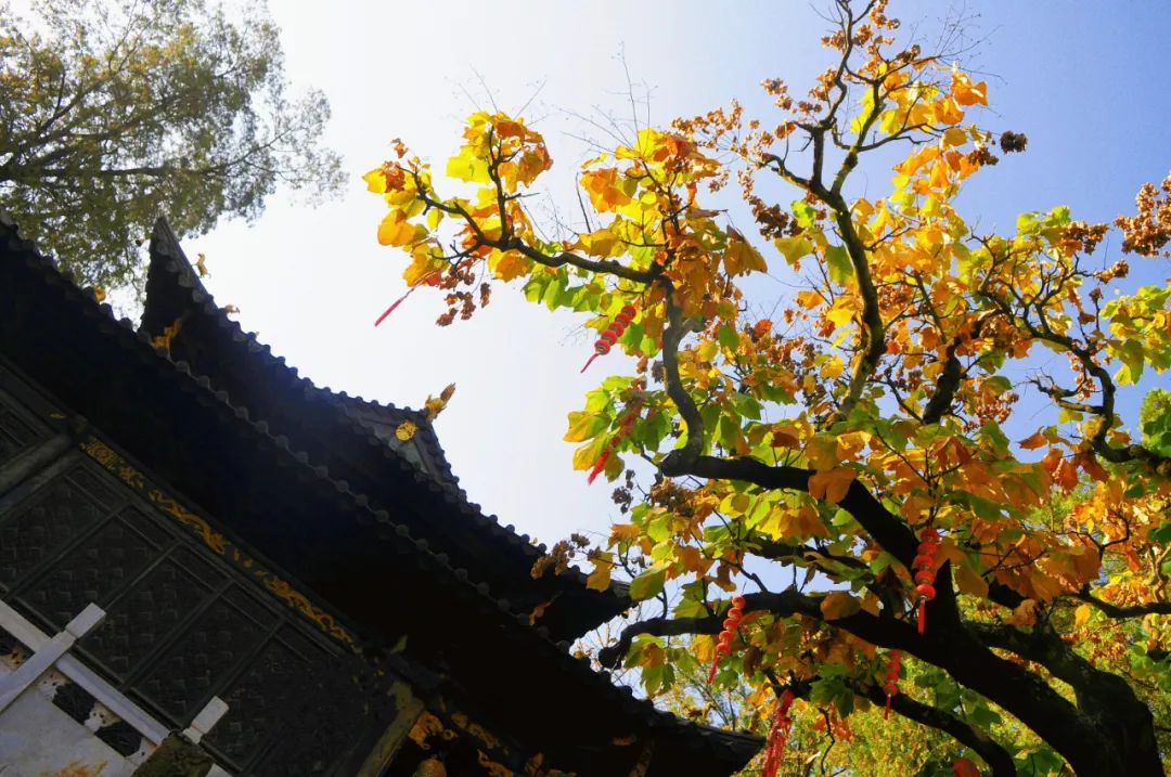 昆明市金殿名胜区