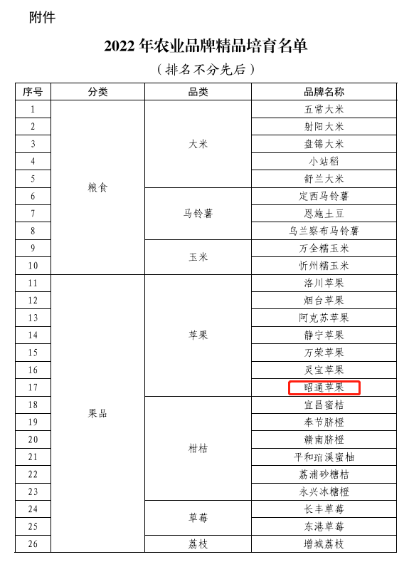 昭通日报