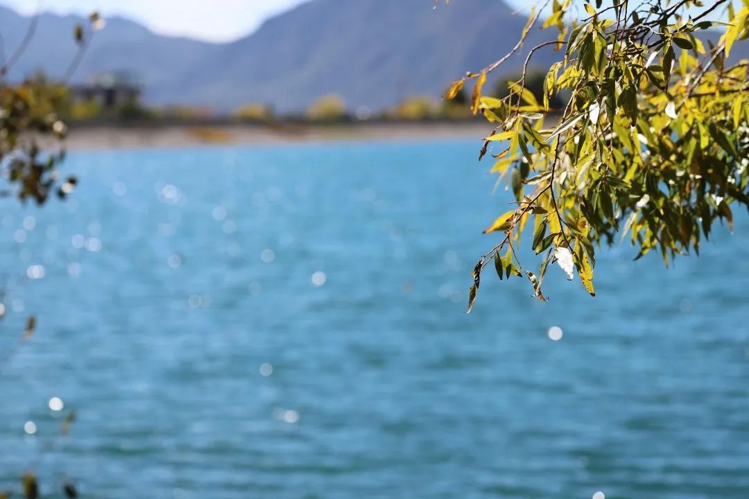 云南省文化和旅游厅