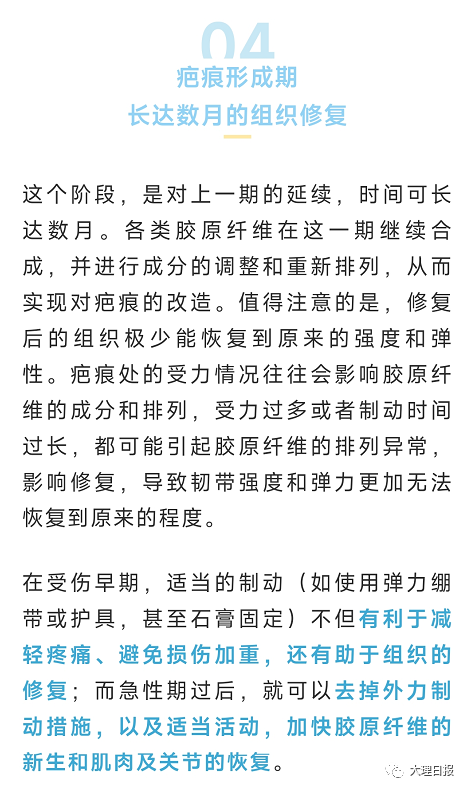 大理日报