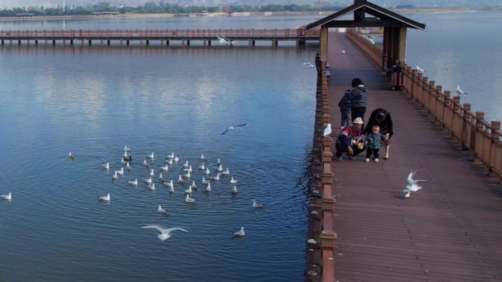 云南省文化和旅游厅