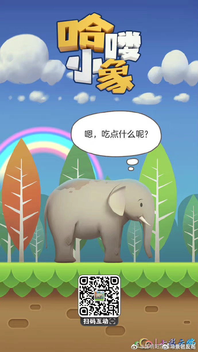 大象的饮食喜好被我拿捏了 