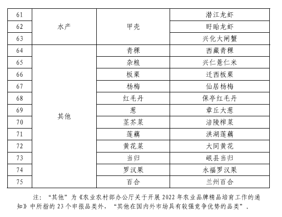 昭通日报