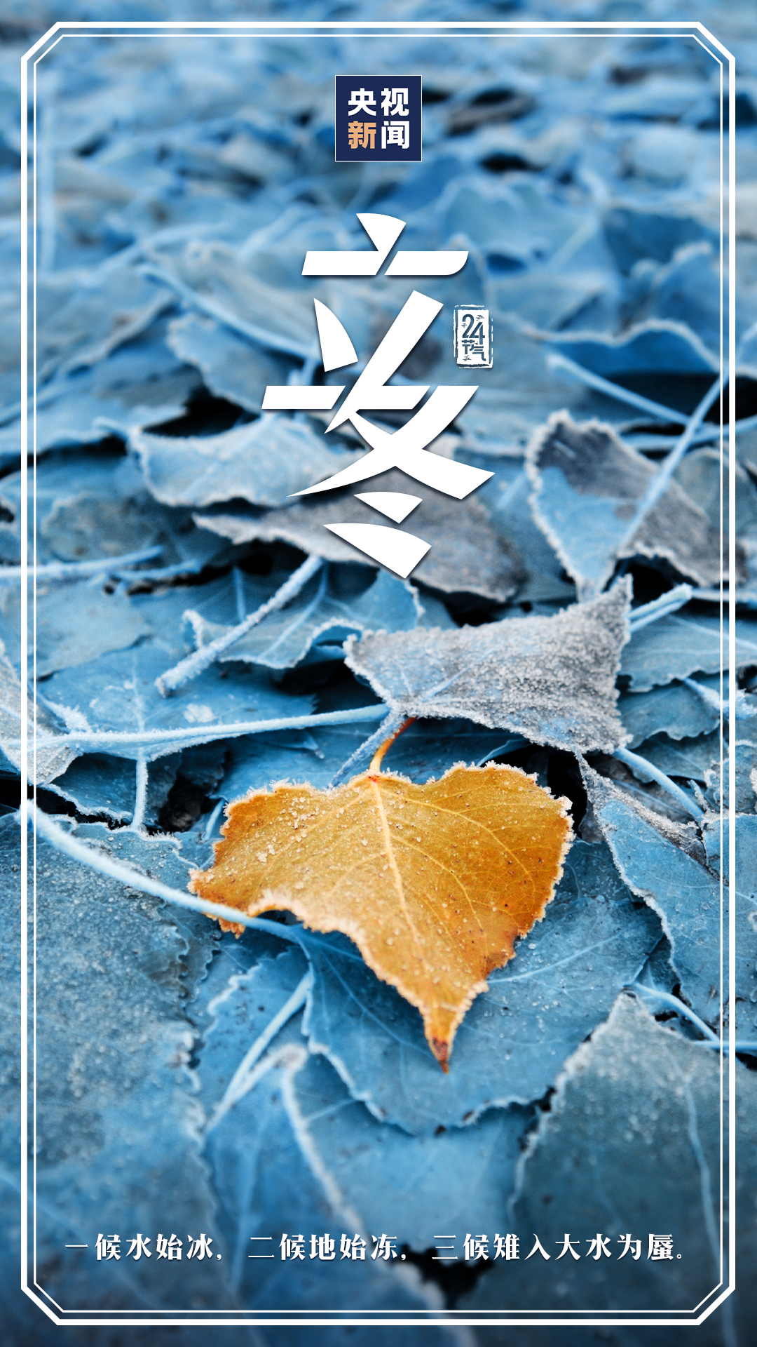 玉溪发布