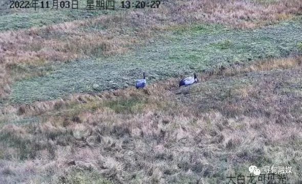 寻甸融媒