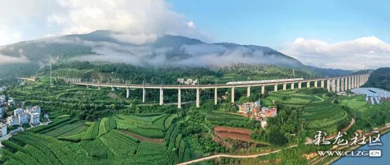 昆明信息港/cnkmxxg