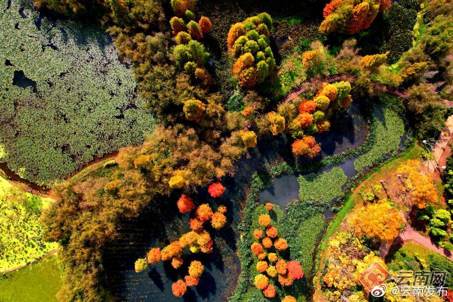 “云南发布”微博