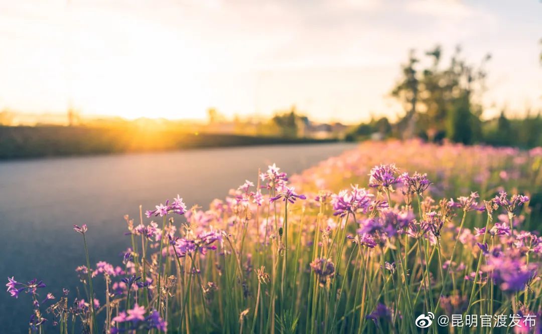 “昆明官渡发布”微博