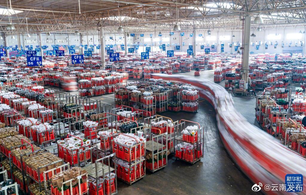 “云南发布”微博