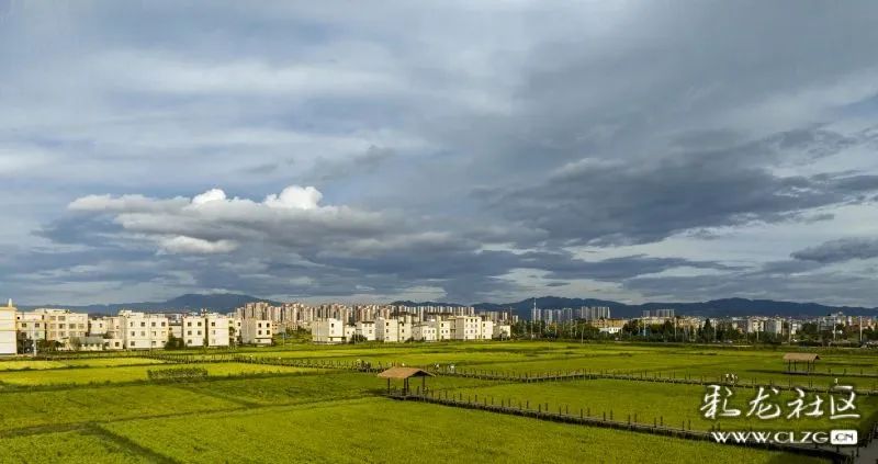 昆明信息港/cnkmxxg