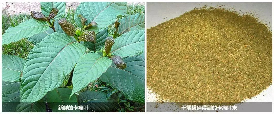 石林融媒