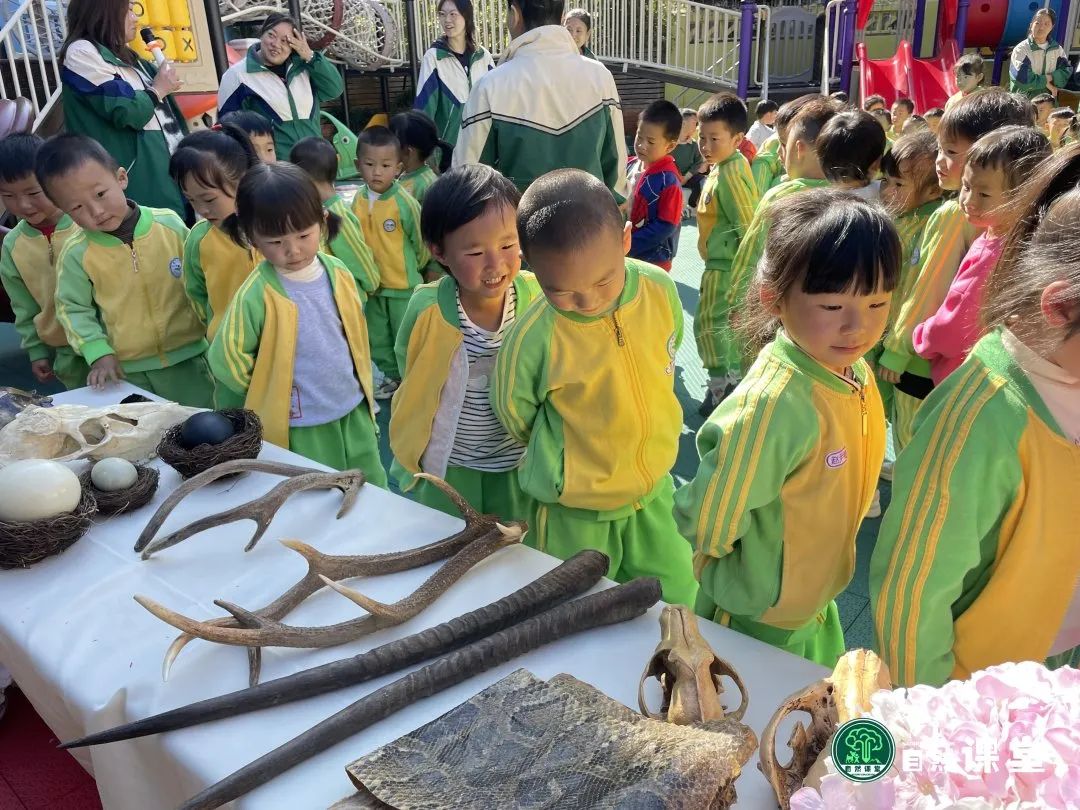 云南野生动物园