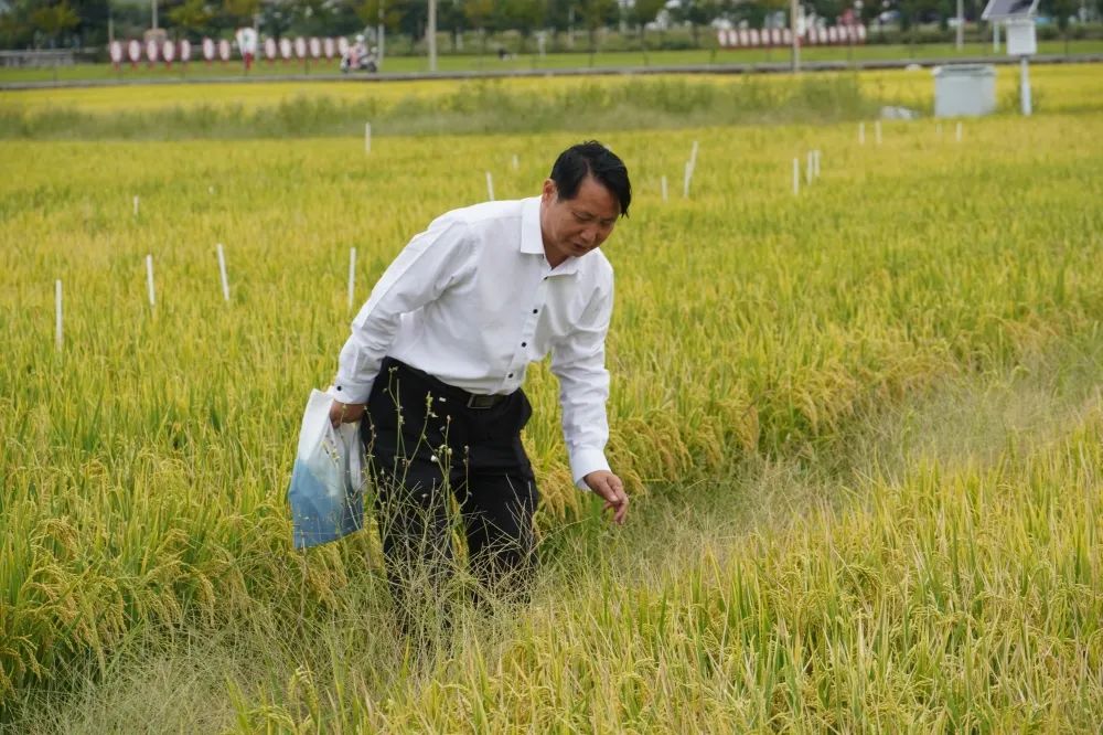 大理电视台
