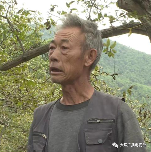 大理电视台