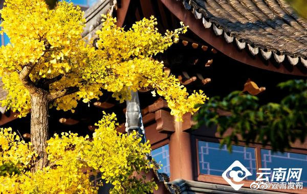 “云南发布”微博