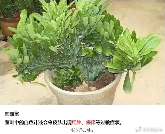 “云南发布”微博
