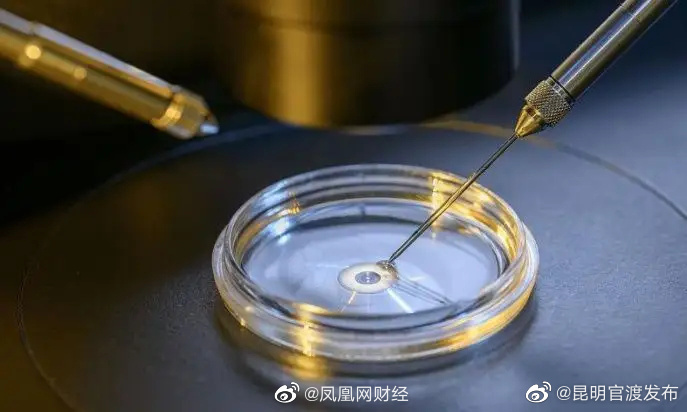 杭州重磅政策落地！杭州明年起“试管婴儿”费用可报销