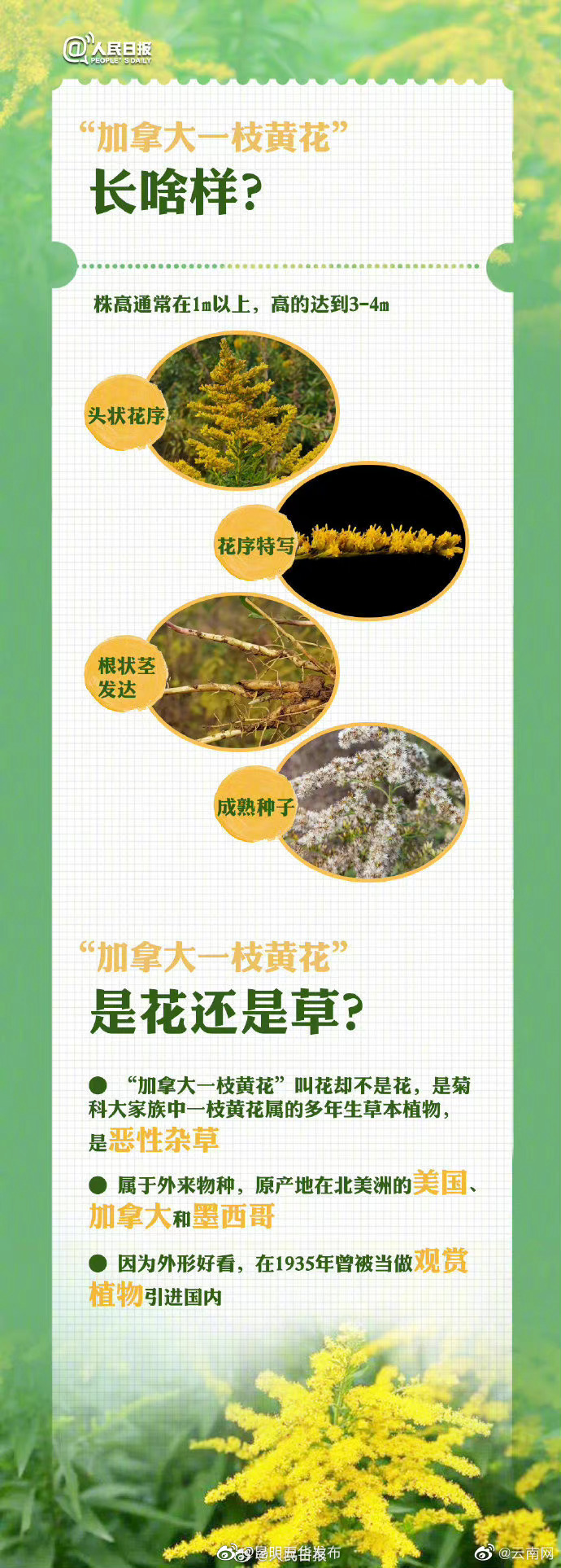 “昆明五华发布”微博