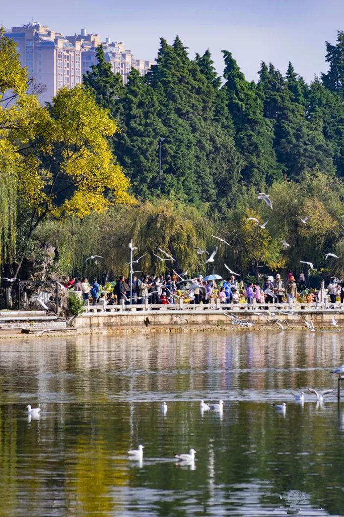 昆明文旅