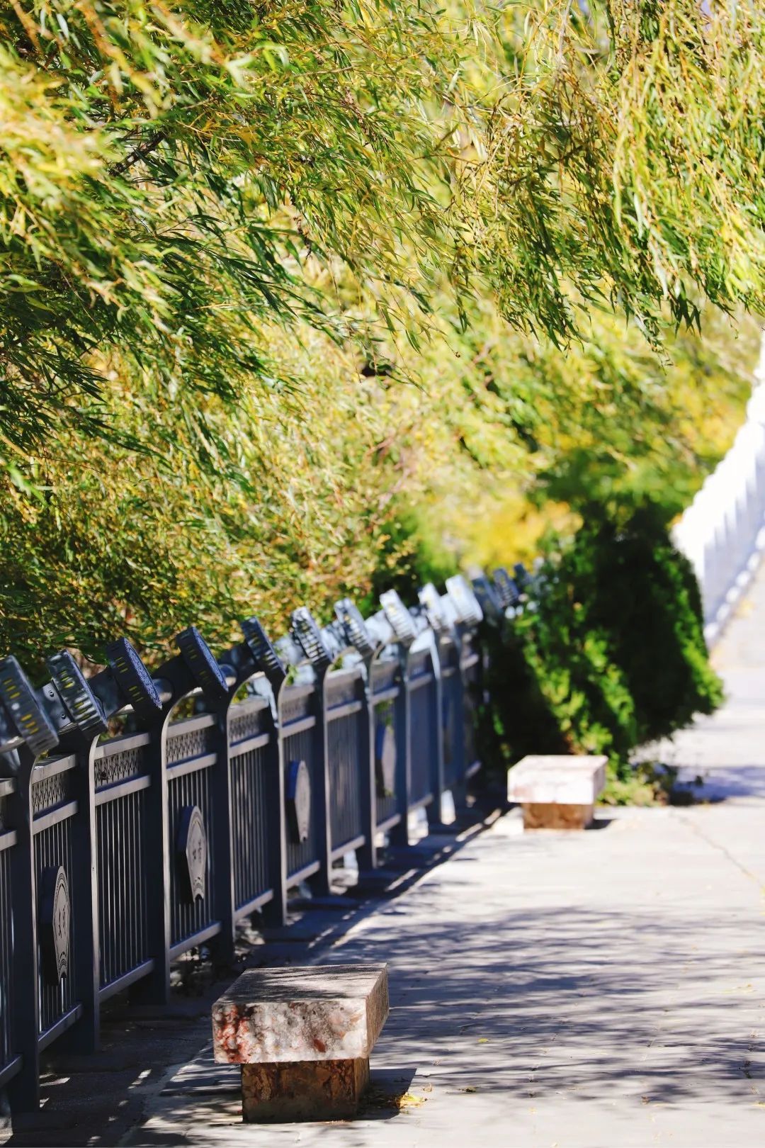 云南省文化和旅游厅