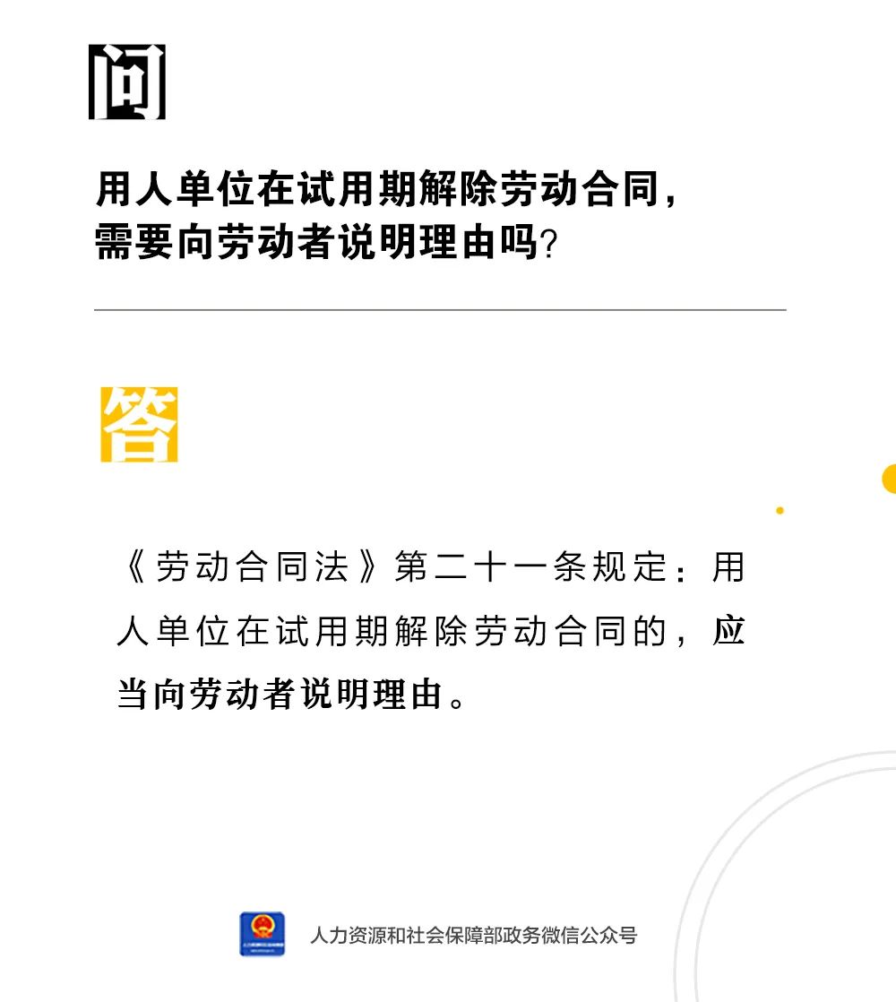 盘龙人社