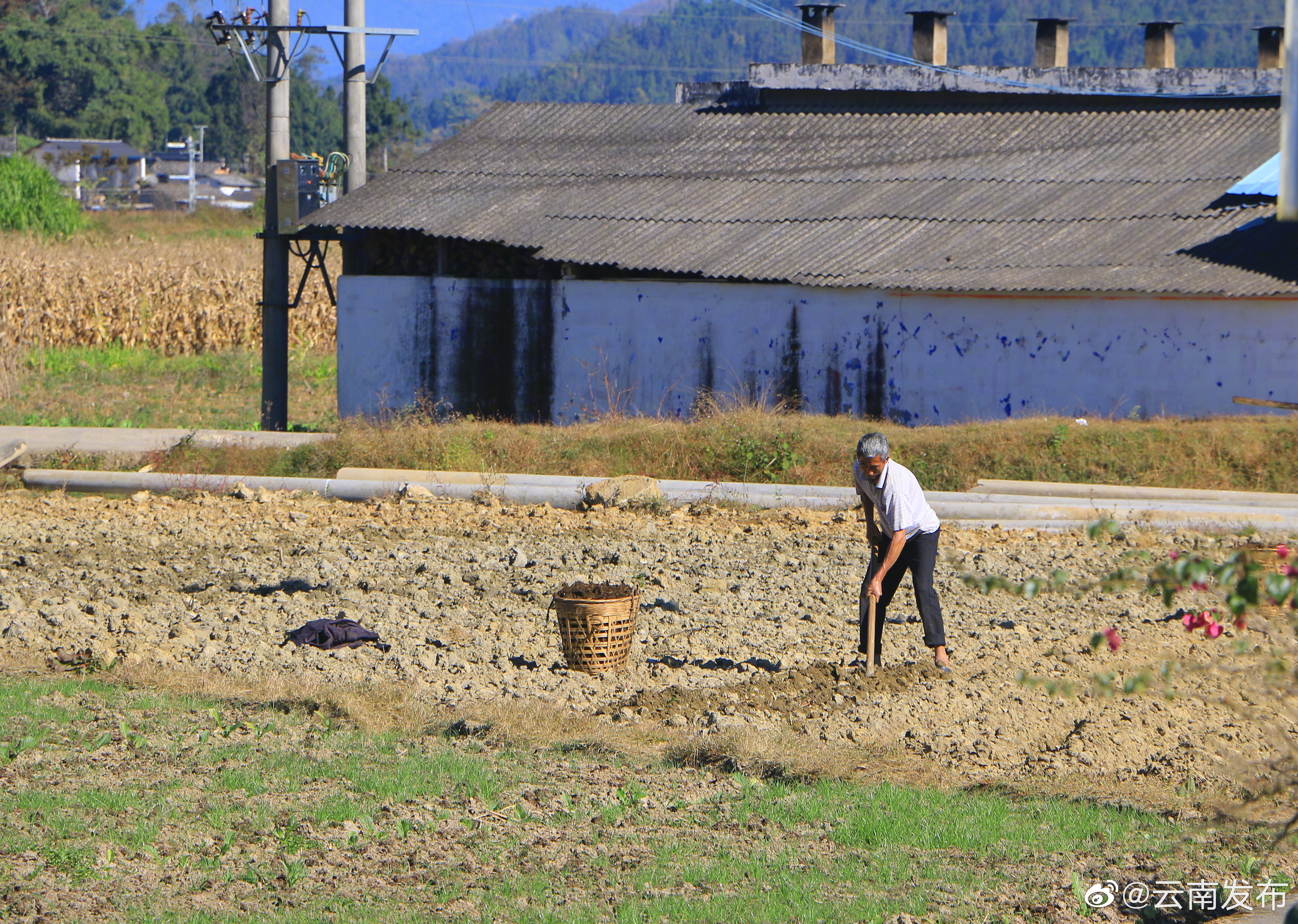 “云南发布”微博