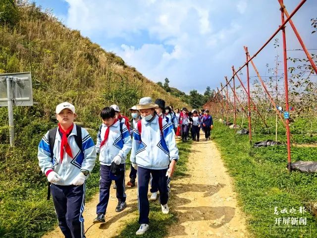 盘龙教育(微信)