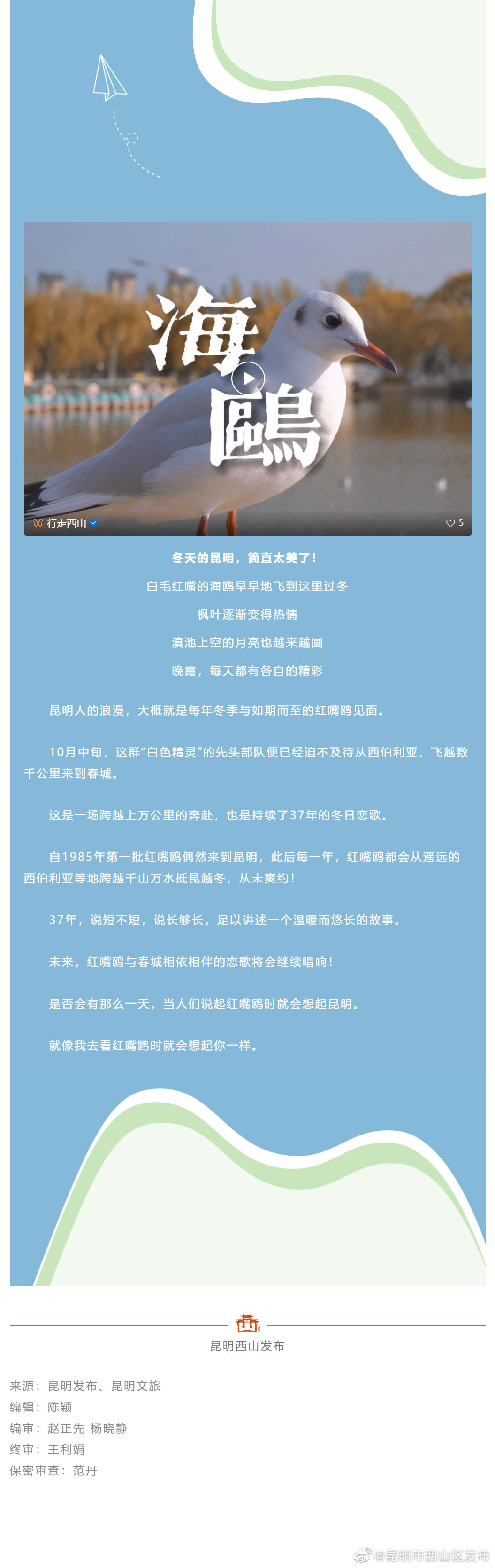 一场昆明人和海鸥的约定~来西山，赴约吧