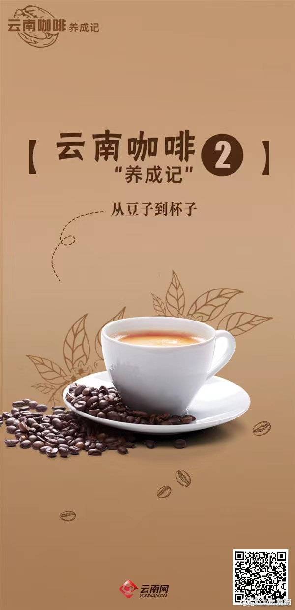 呈贡发布