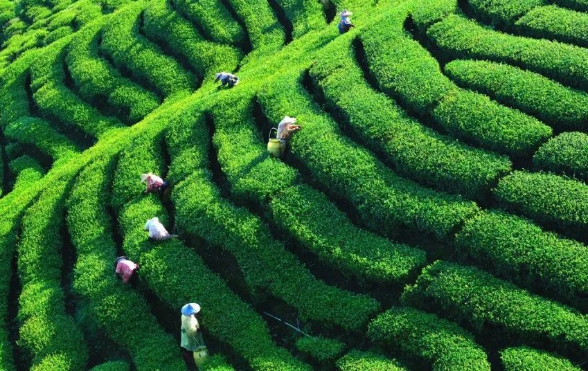 一部手机游云南