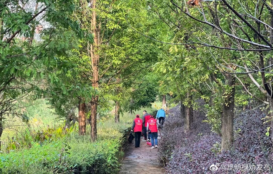 昆明禄劝发布