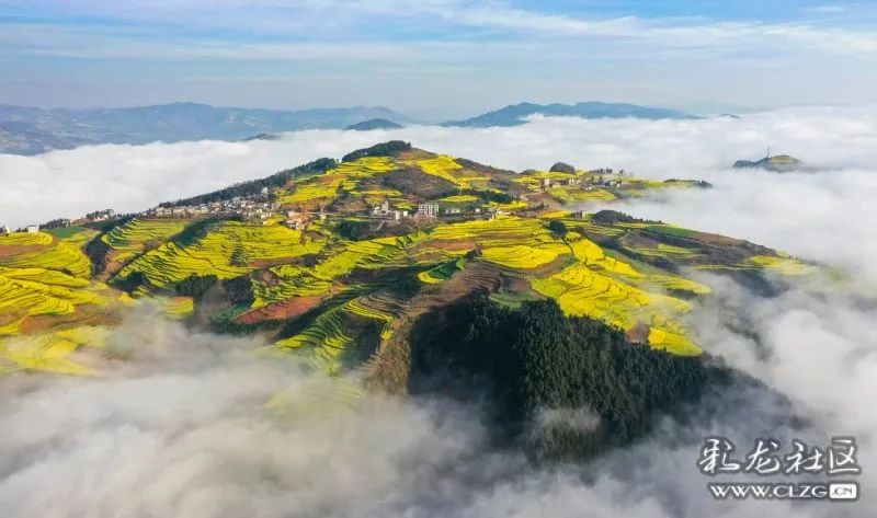 昆明信息港/cnkmxxg